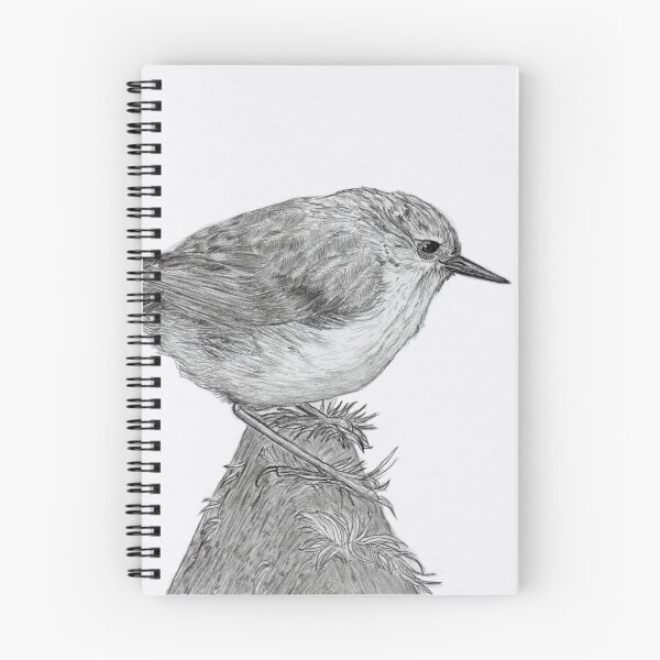 Item preview, Rifleman - New Zealand Native Bird  designed and sold by SquibbleDesign.