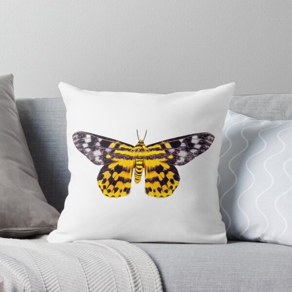 Item preview, butterfly moth Dysphania subrepleta isolated  designed and sold by paulrommer.
