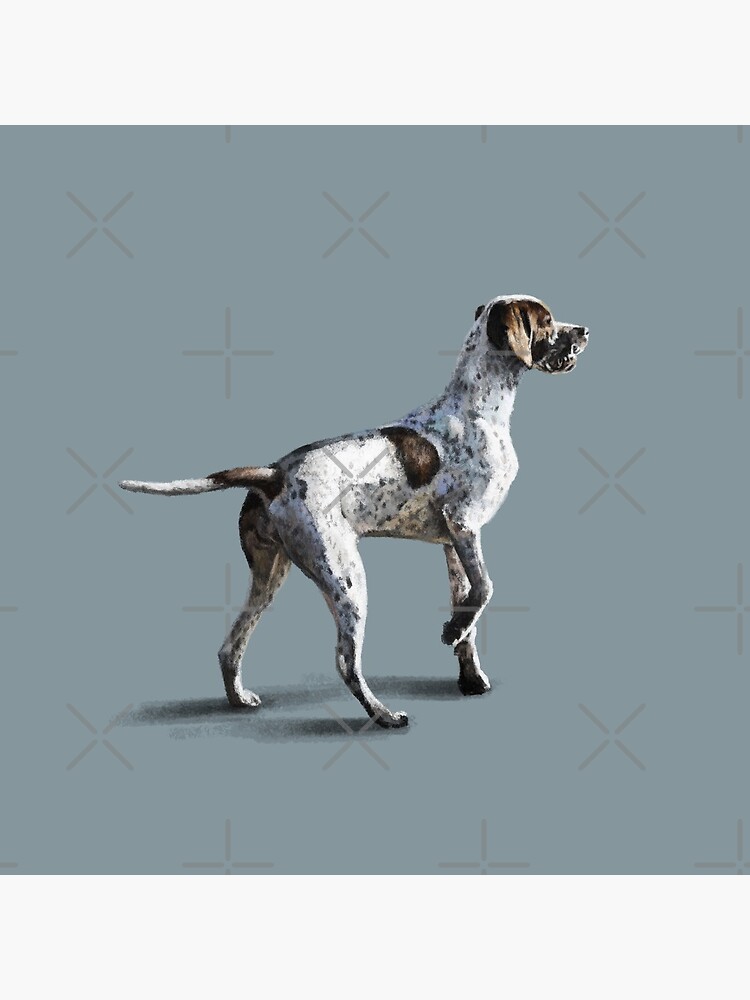 The Pointer by elspethrose