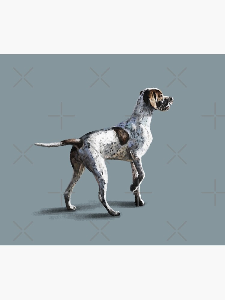 The Pointer by elspethrose