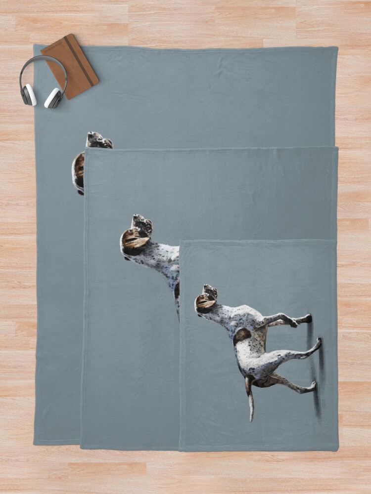 Alternate view of The Pointer Throw Blanket