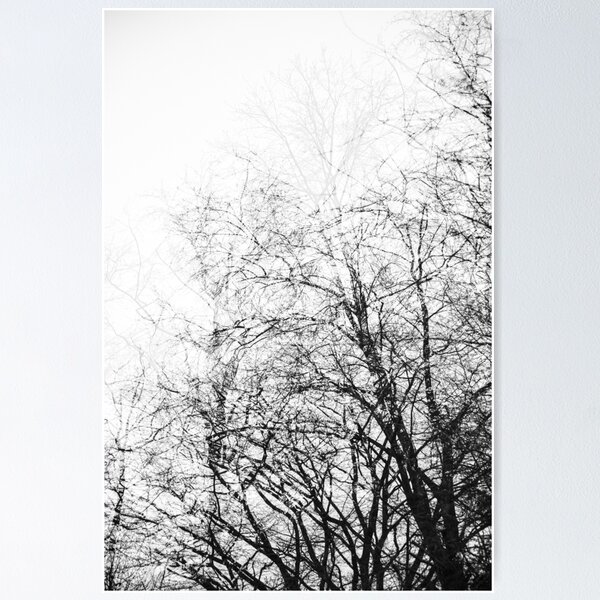 aza's trees #1 Poster