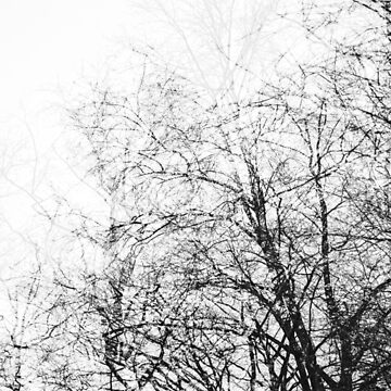 Vorschaubild zum Design aza's trees #1 von Nicolettas Shop