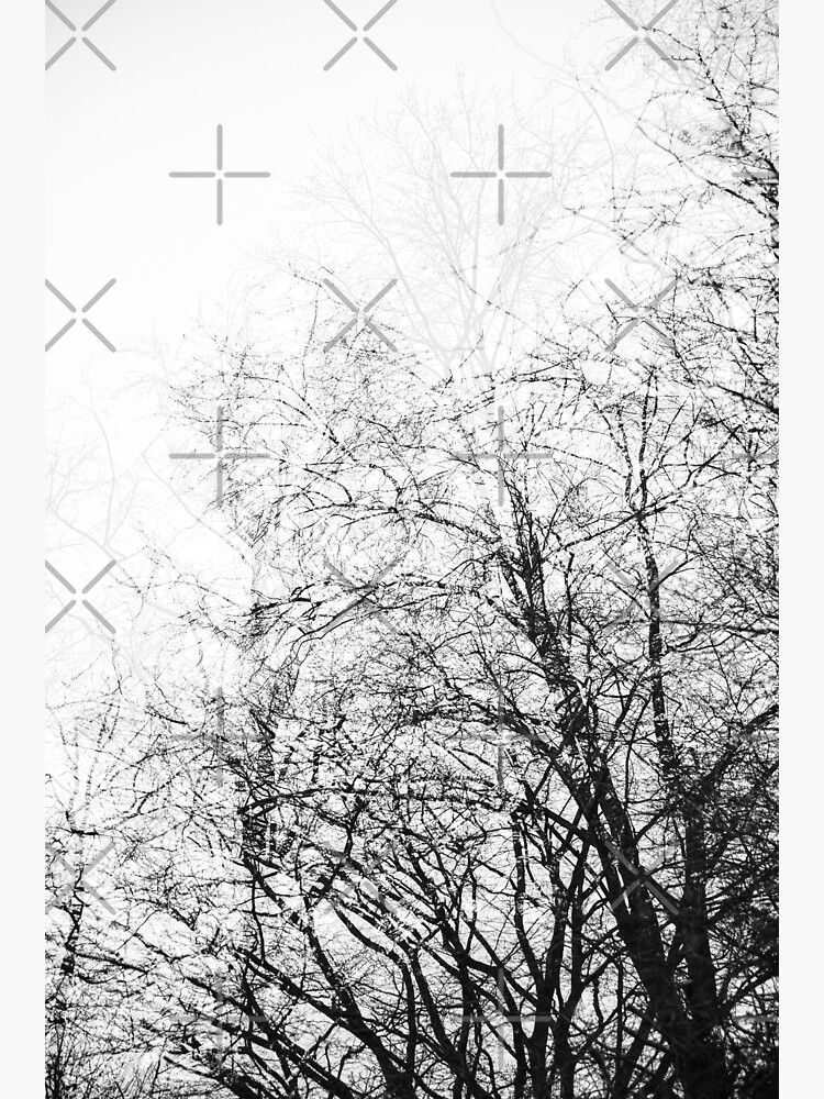 Thumbnail 3 von 3, Sticker, aza's trees #1 designt und verkauft von NicolettasShop.