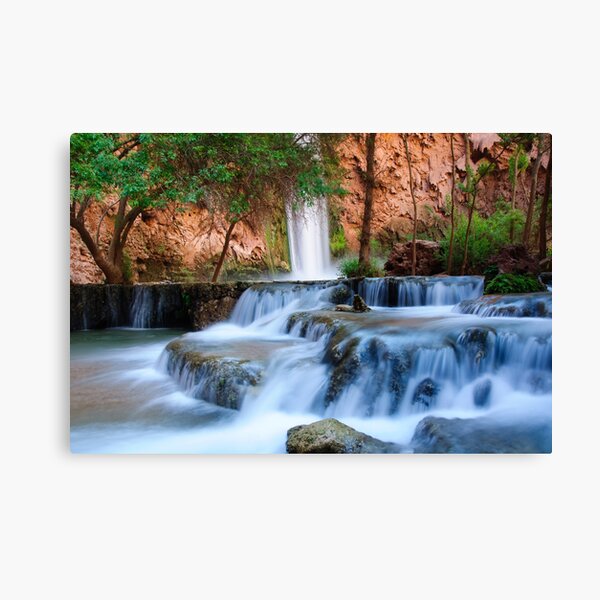 Mooney Canvas Prints for Sale | Redbubble