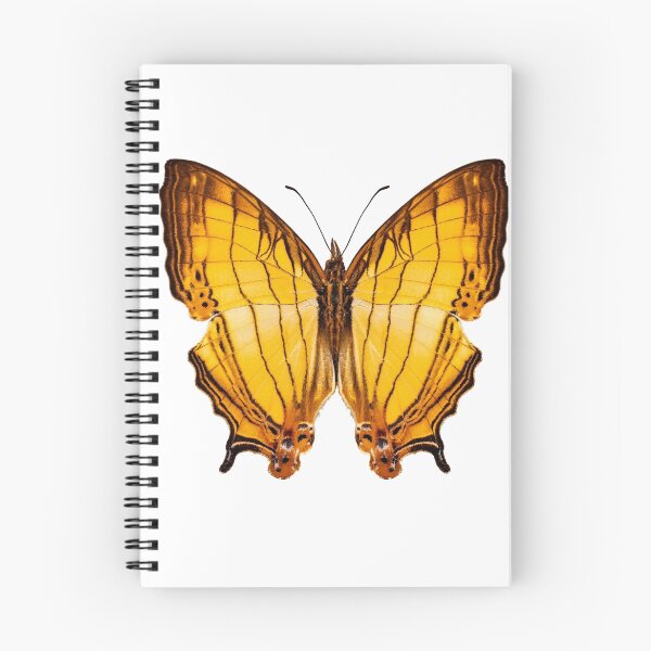 Item preview, Butterfly species Cyrestis lutea "Orange Straight-line" designed and sold by paulrommer.