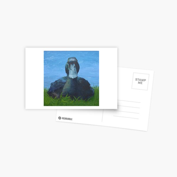 Broody Black East Indie Postcard