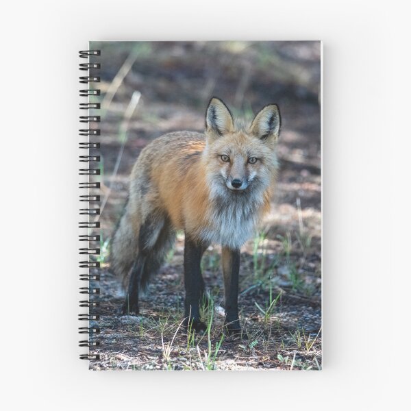 Item preview, Wild and Free designed and sold by Greg Birkett.