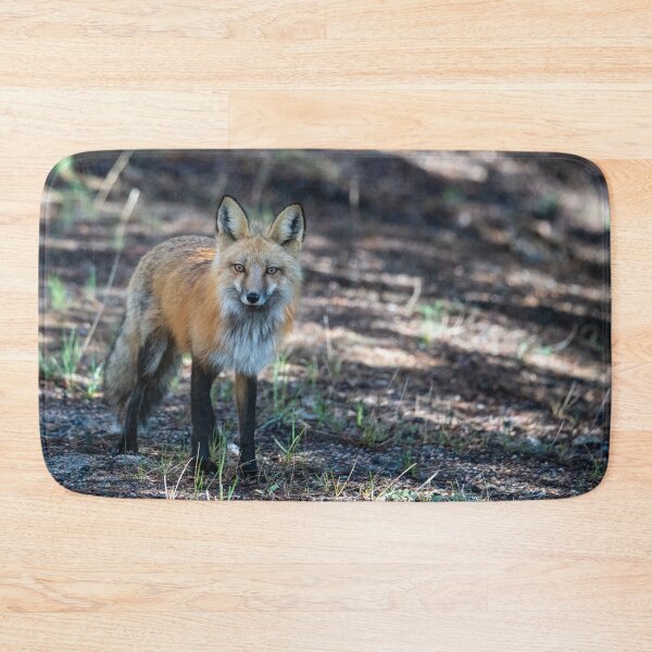 Item preview, Wild and Free designed and sold by Greg Birkett.