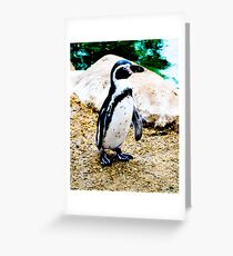 Penguin Greeting Card