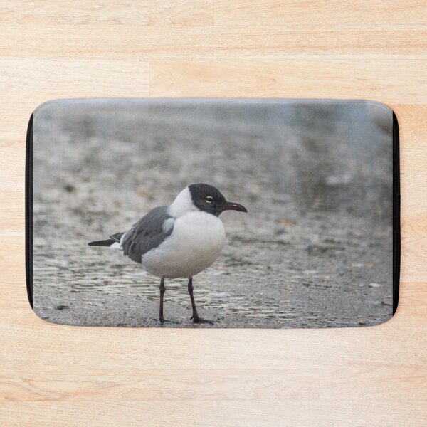Item preview, Carolina gull designed and sold by KensLensDesigns.