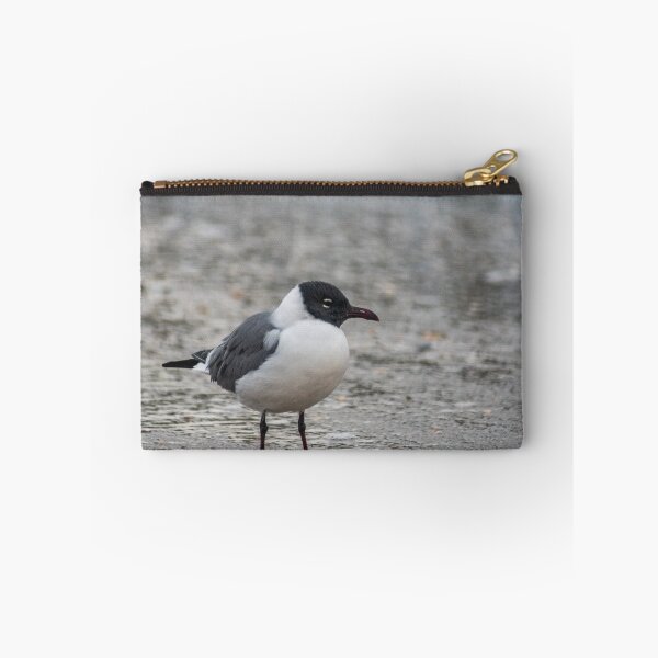 Item preview, Carolina gull designed and sold by KensLensDesigns.