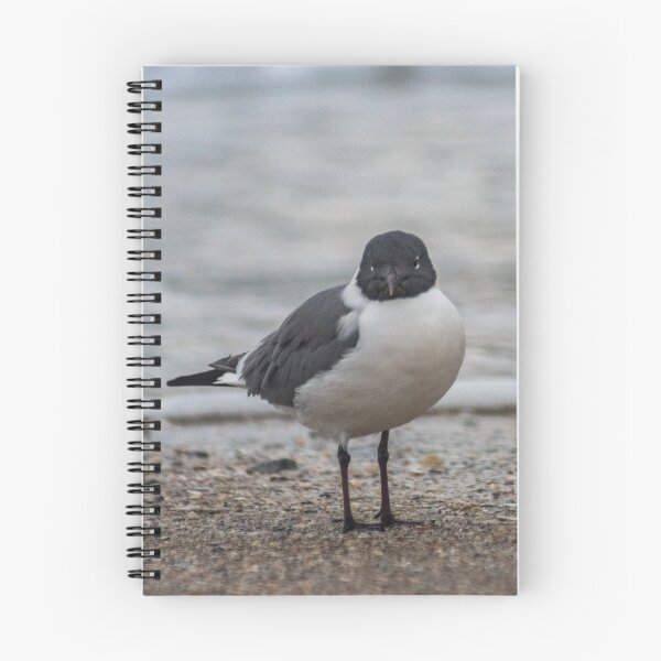 Item preview, Gull in the sea designed and sold by KensLensDesigns.