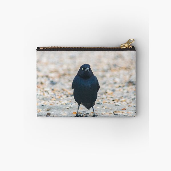 Item preview, Boat-tailed Grackle at Beach designed and sold by KensLensDesigns.
