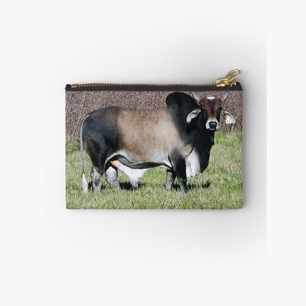 Item preview, Staring Brahman Bull designed and sold by Adventure Graphics.