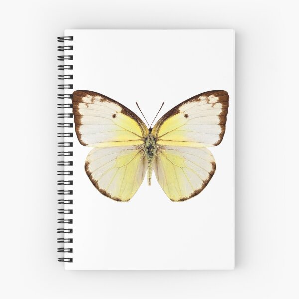 Item preview, Butterfly species Catopsilia pomona "Lemon Emigrant" designed and sold by paulrommer.