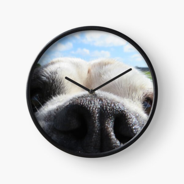 Bulldog nose Clock