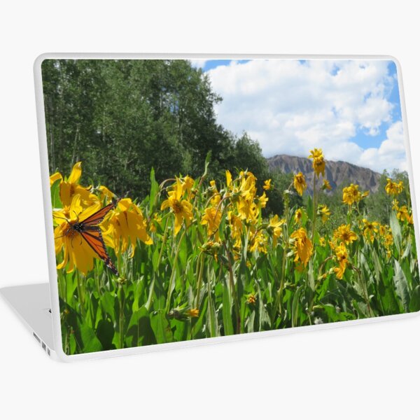 Springtime in the Rockies Laptop Skin