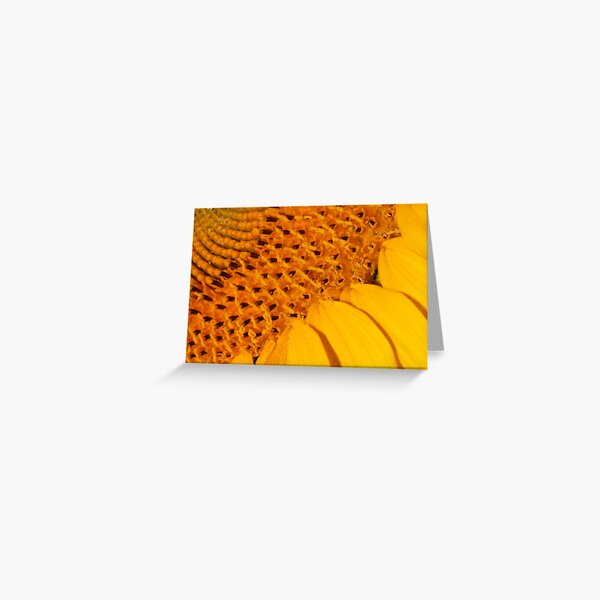 maturing heart Greeting Card