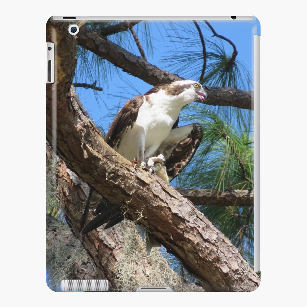 Osprey, the Sea Hawk iPad Case & Skin