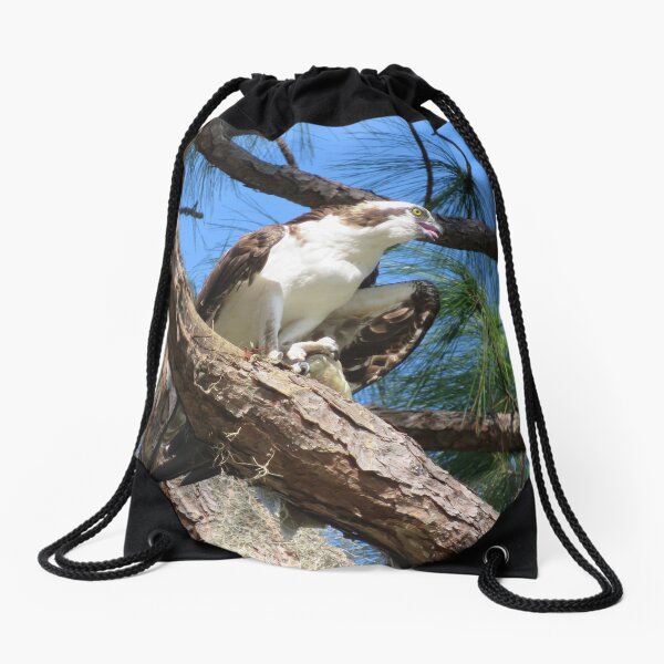 Osprey, the Sea Hawk Drawstring Bag