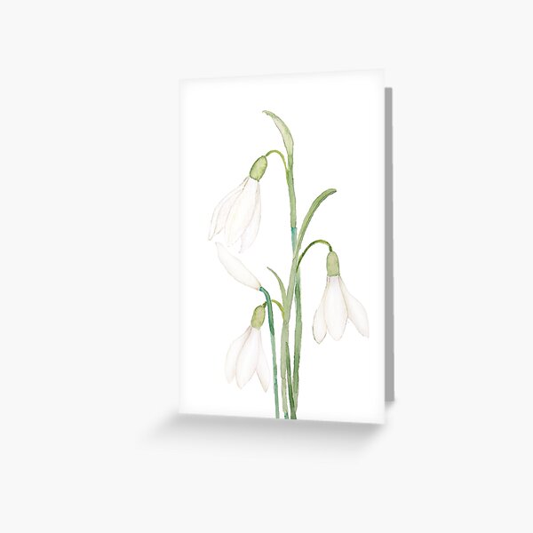 Item preview, hand painted angelic snowdrop flowers watercolor designed and sold by ColorandColor.