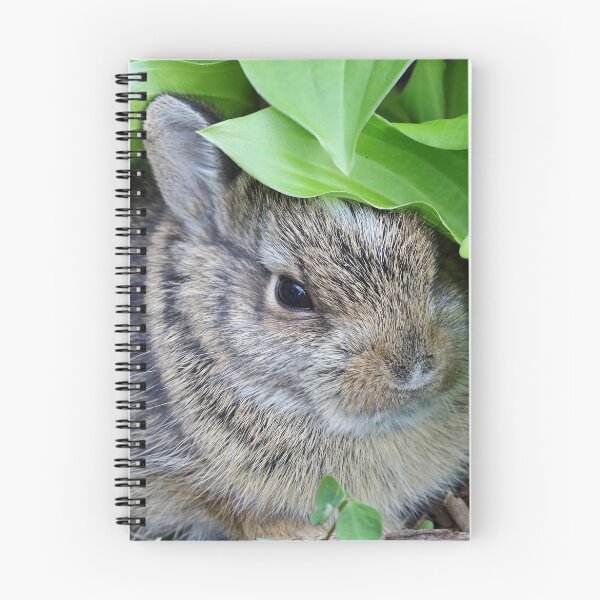 Item preview, Baby Rabbit designed and sold by WorldDesign.