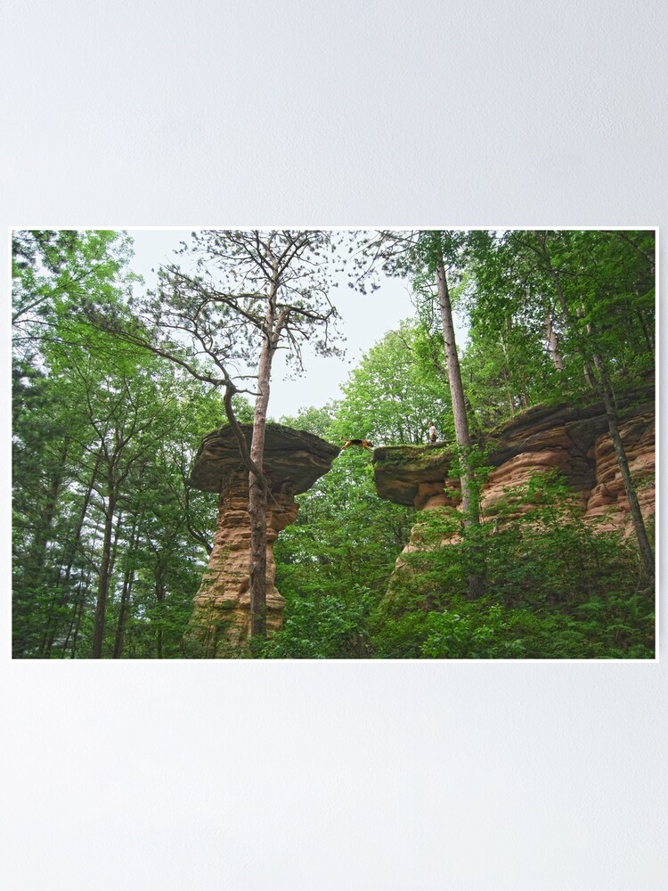 "Dog Jumping from Stand Rock in Wisconsin Dells" Poster by cathysherman