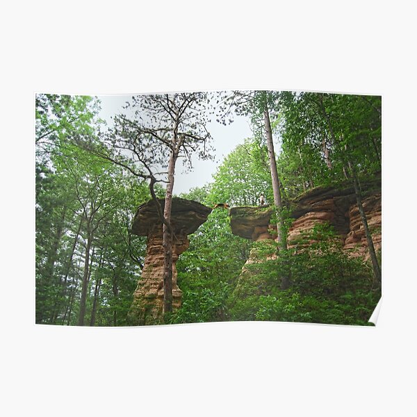 "Dog Jumping from Stand Rock in Wisconsin Dells" Poster by cathysherman