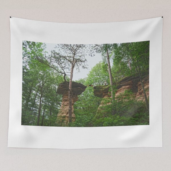 Item preview, Dog Jumping from Stand Rock in Wisconsin Dells designed and sold by Catherine Sherman.