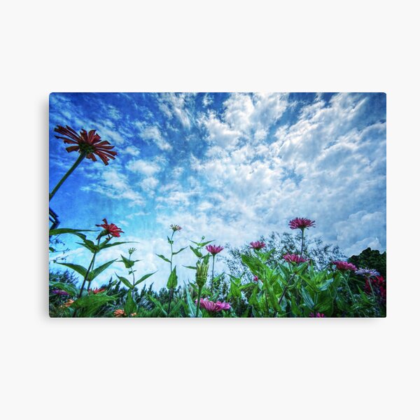 For the Fun of It Canvas Print