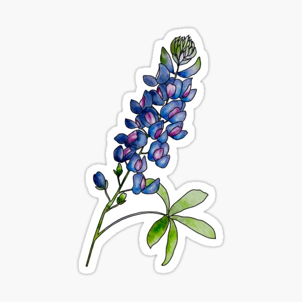 Since we're sharing Texas tattoos, got this bluebonnet to to remind me of  home after moving to Seattle : r/texas
