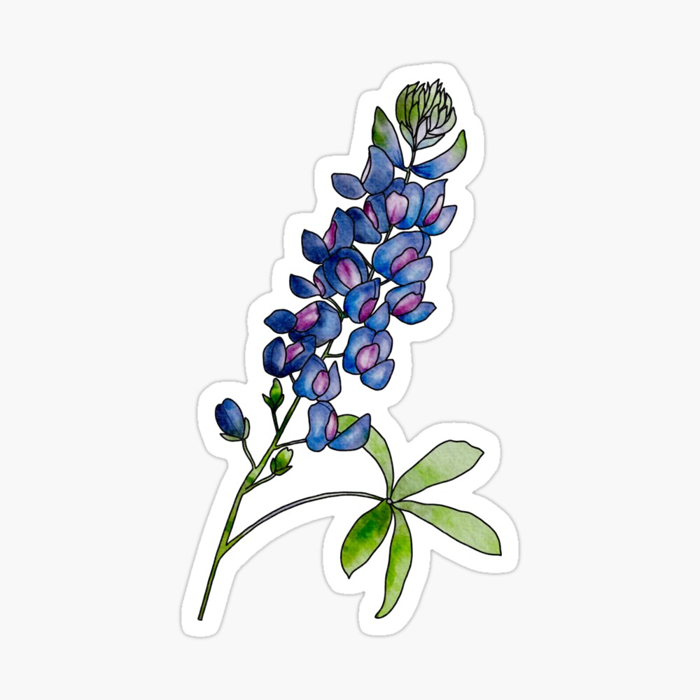 Pop-Up Bouquet - Blue Bonnets