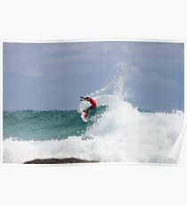 Julian Wilson Snapper Poster