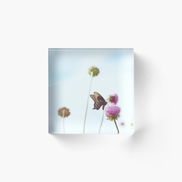 Item preview, Blue Sky Butterfly designed and sold by InGFocus.