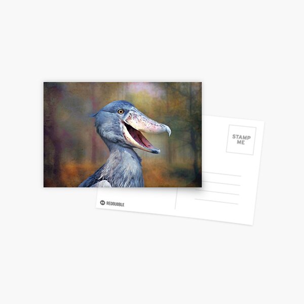 Item preview, Shoebill  designed and sold by Savannah Gibbs.