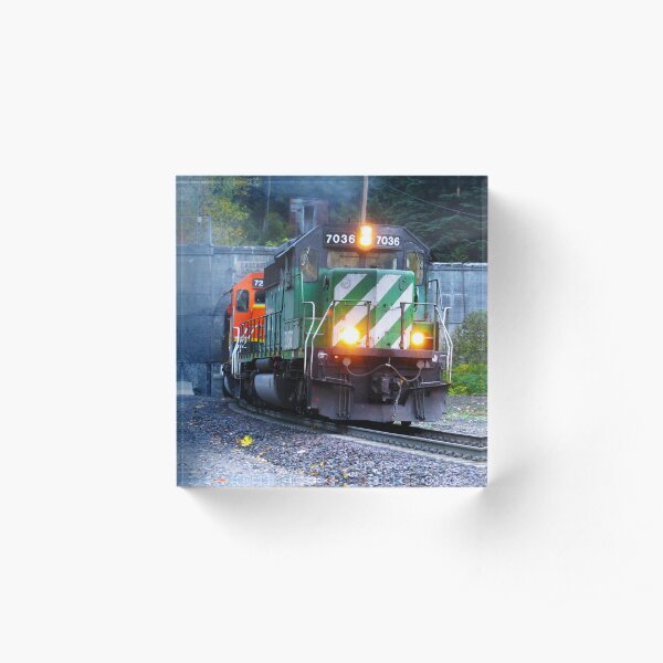 Freight Train in Tunnel in Washington State Acrylic Block