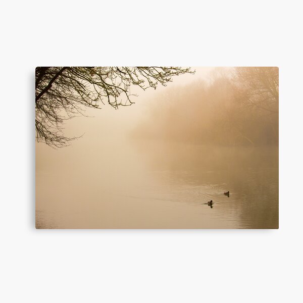 Misty Morning Canvas Print