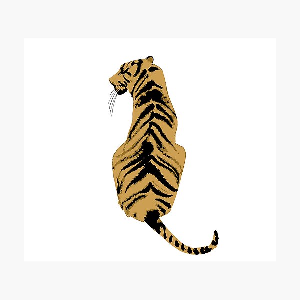 graphic back tiger Photographic Print