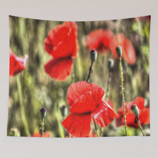 Item preview, Summer Poppy's  designed and sold by bejacs.