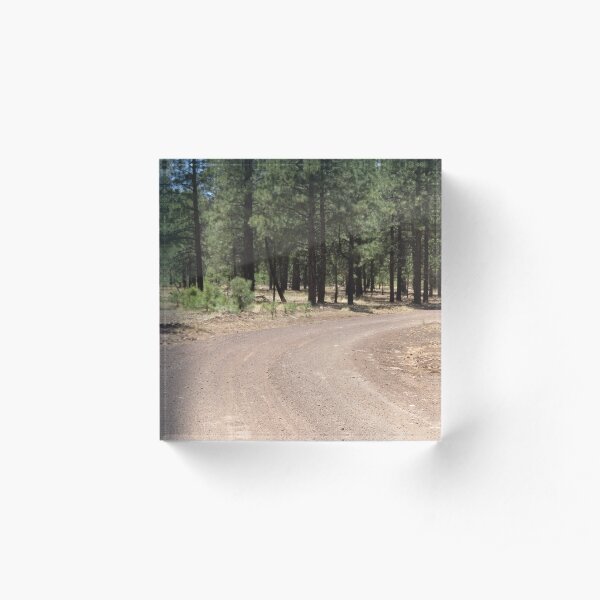 Curvey, Arizona dirt road Acrylic Block
