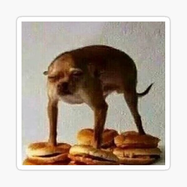 Cursed dog Sticker