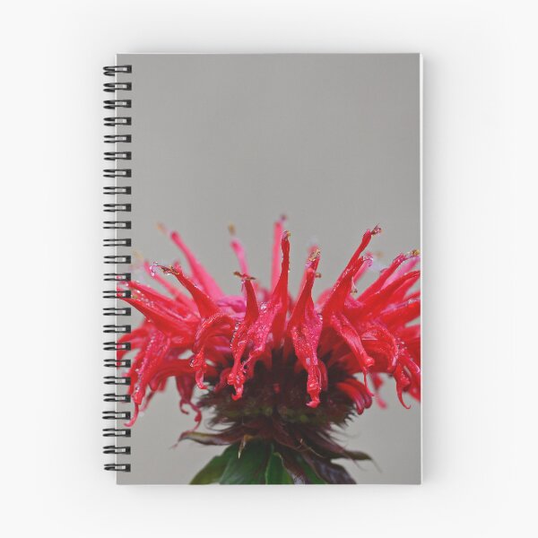 Item preview, Crown of Ruby Rain designed and sold by InGFocus.