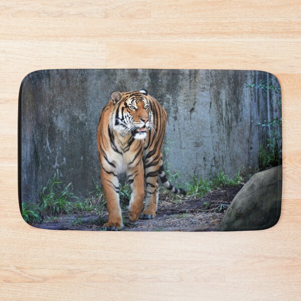Item preview, Tiger  designed and sold by Savannah Gibbs.