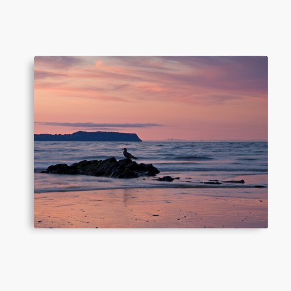 Sitting Pretty Canvas Print