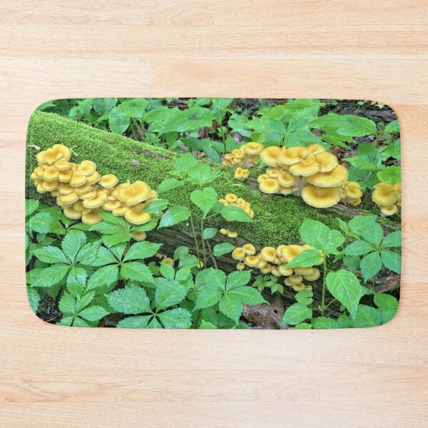 Item preview, Woodland Oysters designed and sold by LynyrdSky.