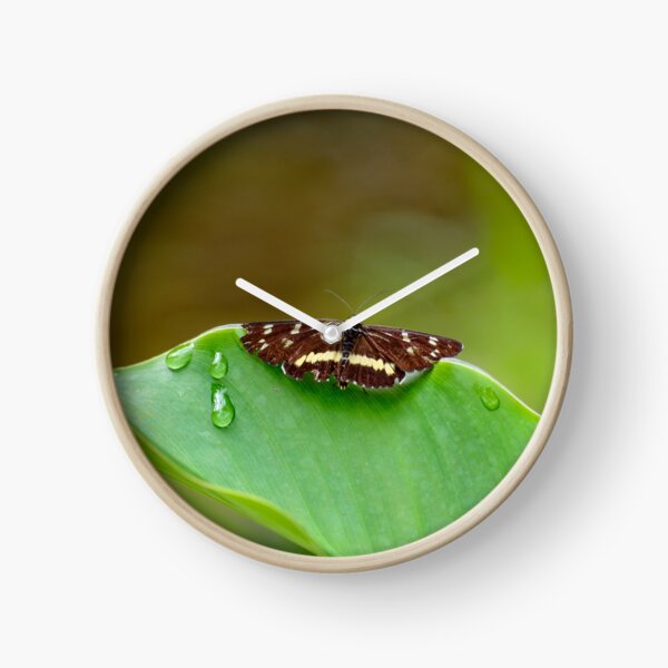 Butterfly Resting Clock