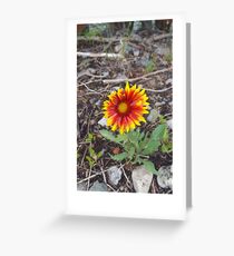 Tarjeta de felicitación Bonita flor pequeña
