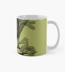 Dilophus intermedius - no herbarium label Classic Mug