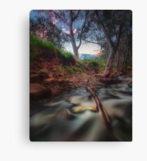 Last Day of Winter Canvas Print